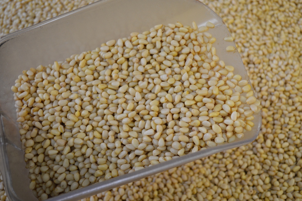 Сбор заказов. Кедровые орехи и клю... Сбор заказов. Кедровые орехи и клю...