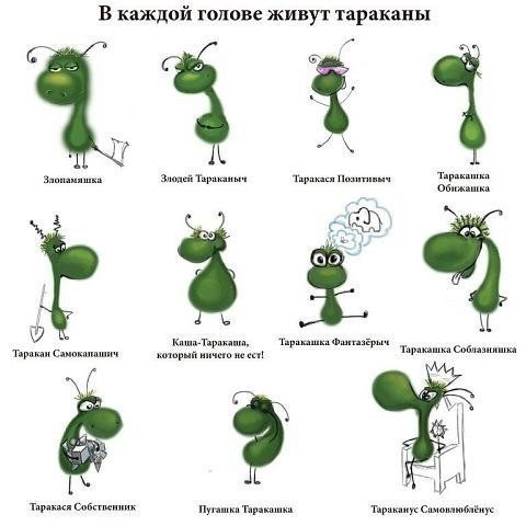 Мои таракашечки Мои таракашечки