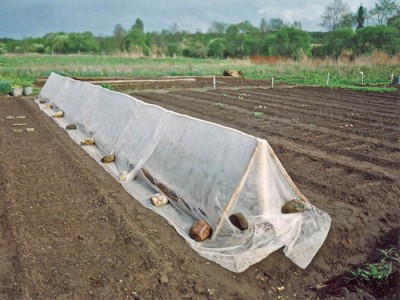 Кто не успел купить спанбонд, плен... Кто не успел купить спанбонд, плен...