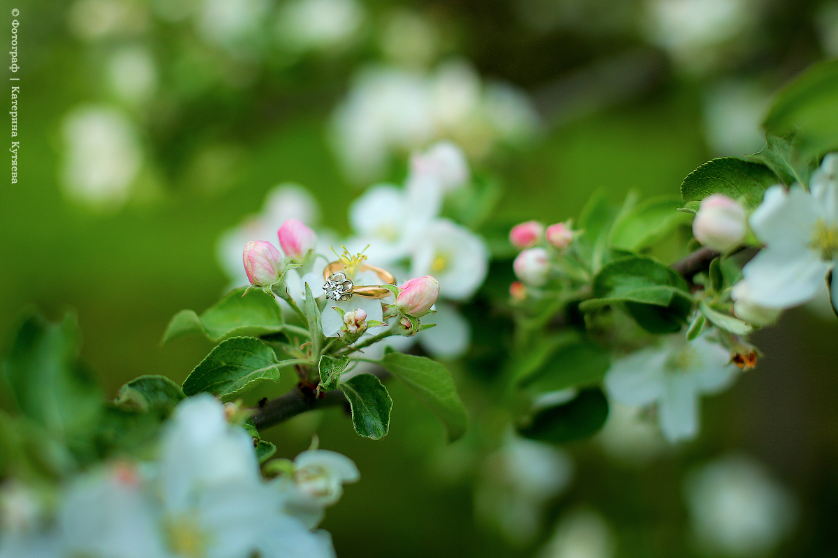 Жду не дождусь лета ... а кто-то д... Жду не дождусь лета ... а кто-то д...