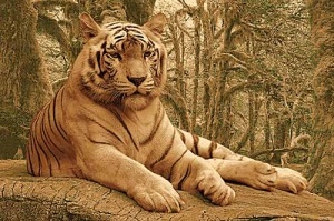 Сбор заказов. Создайте уют в вашем... Сбор заказов. Создайте уют в вашем...