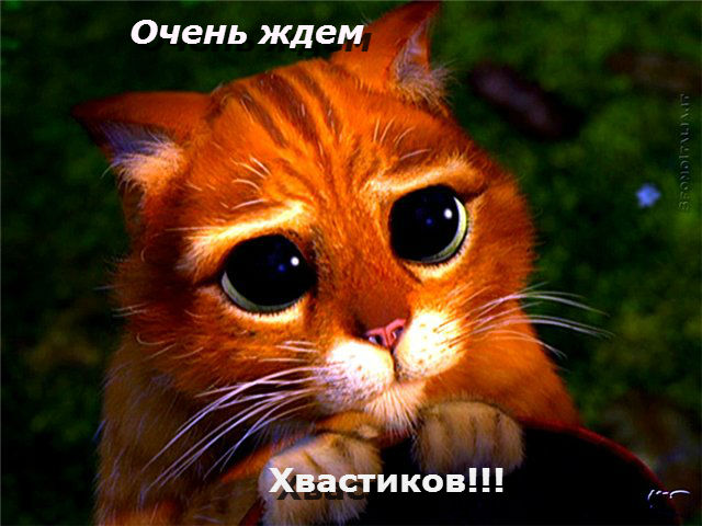 Буду рада отзывам!
ЗАПС
www.nn.... Буду рада отзывам!
ЗАПС
www.nn....