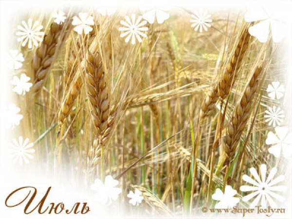 Сбор заказов. Июль 2014.Самогонный... Сбор заказов. Июль 2014.Самогонный...