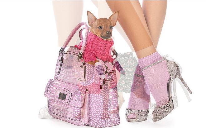 Носки высокого качества. Термо, Ба... Носки высокого качества. Термо, Ба...