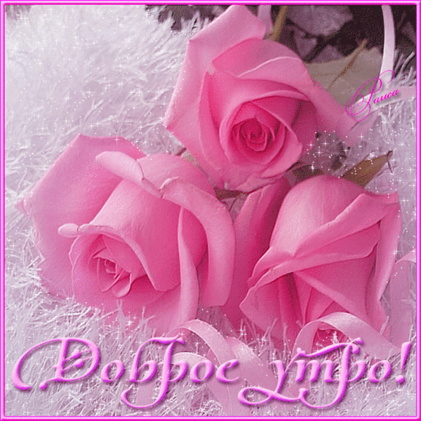 Доброе утро! Удачной недели и прек... Доброе утро! Удачной недели и прек...