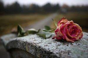 Соберем еще раз ритуальную продукц... Соберем еще раз ритуальную продукц...