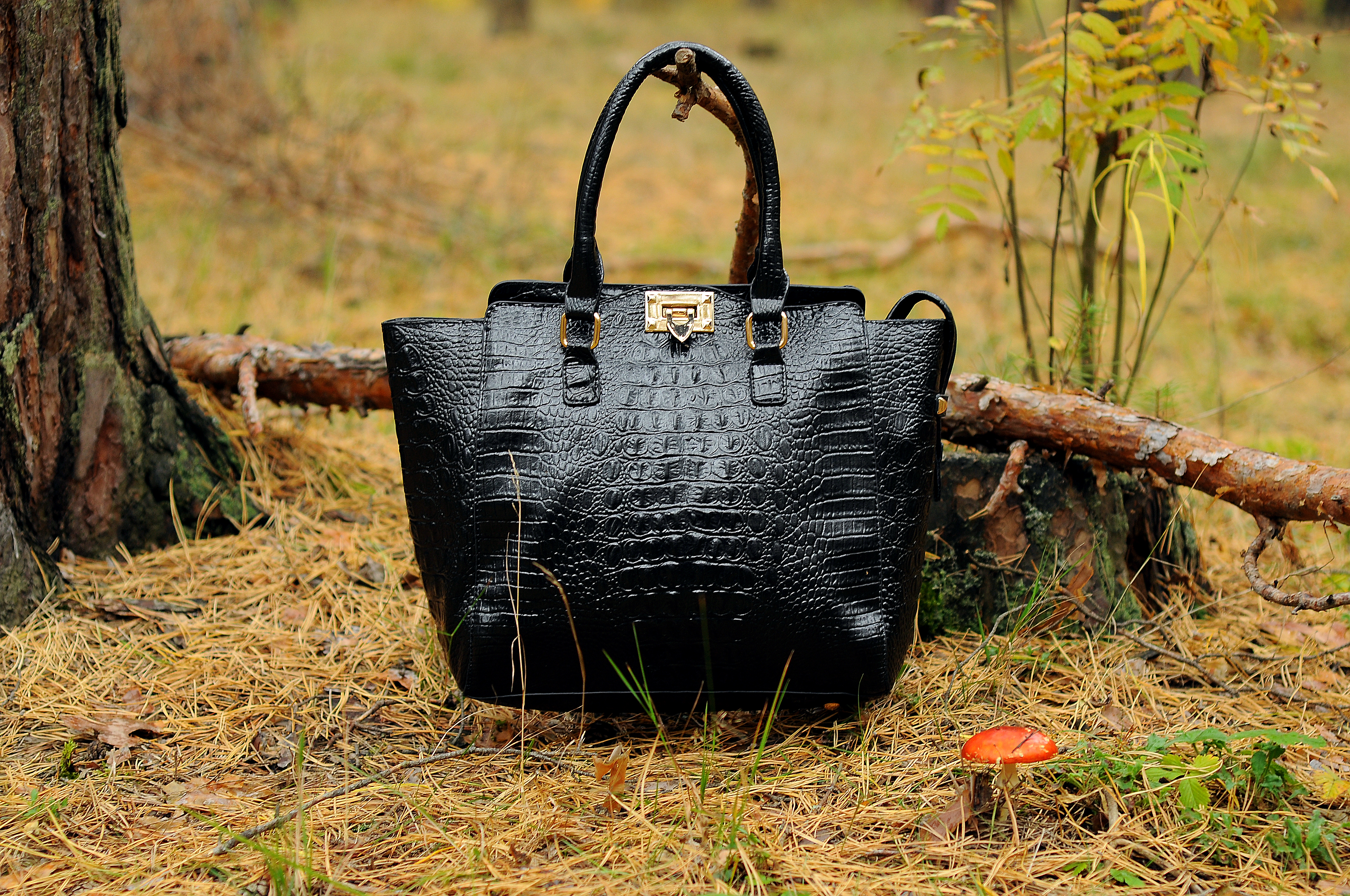 Вот так! Вот так!