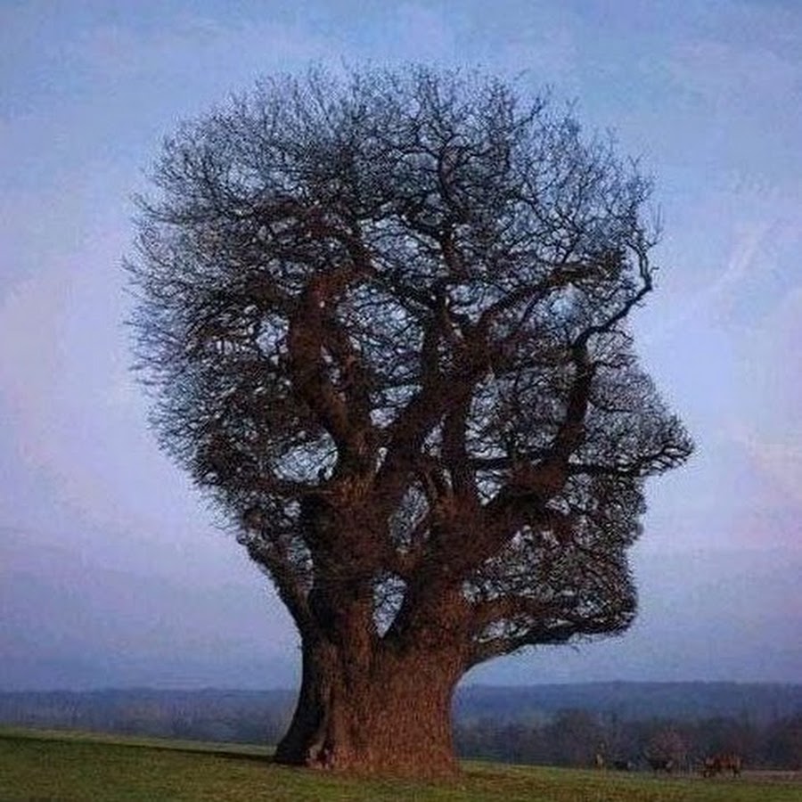 Воображение Воображение