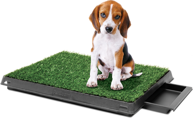 Альтернатива пеленок - собачий туалет Альтернатива пеленок - собачий туалет