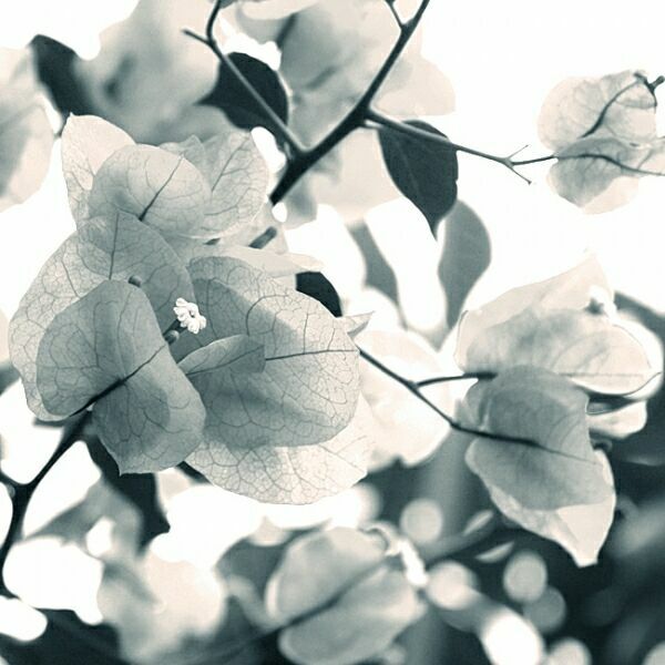 Не жалейте для милых тепла... Не жалейте для милых тепла...