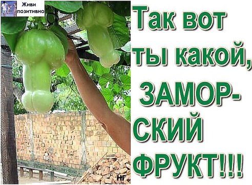 Интересно. Интересно.