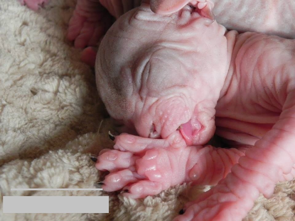 Так хочется... Так хочется...