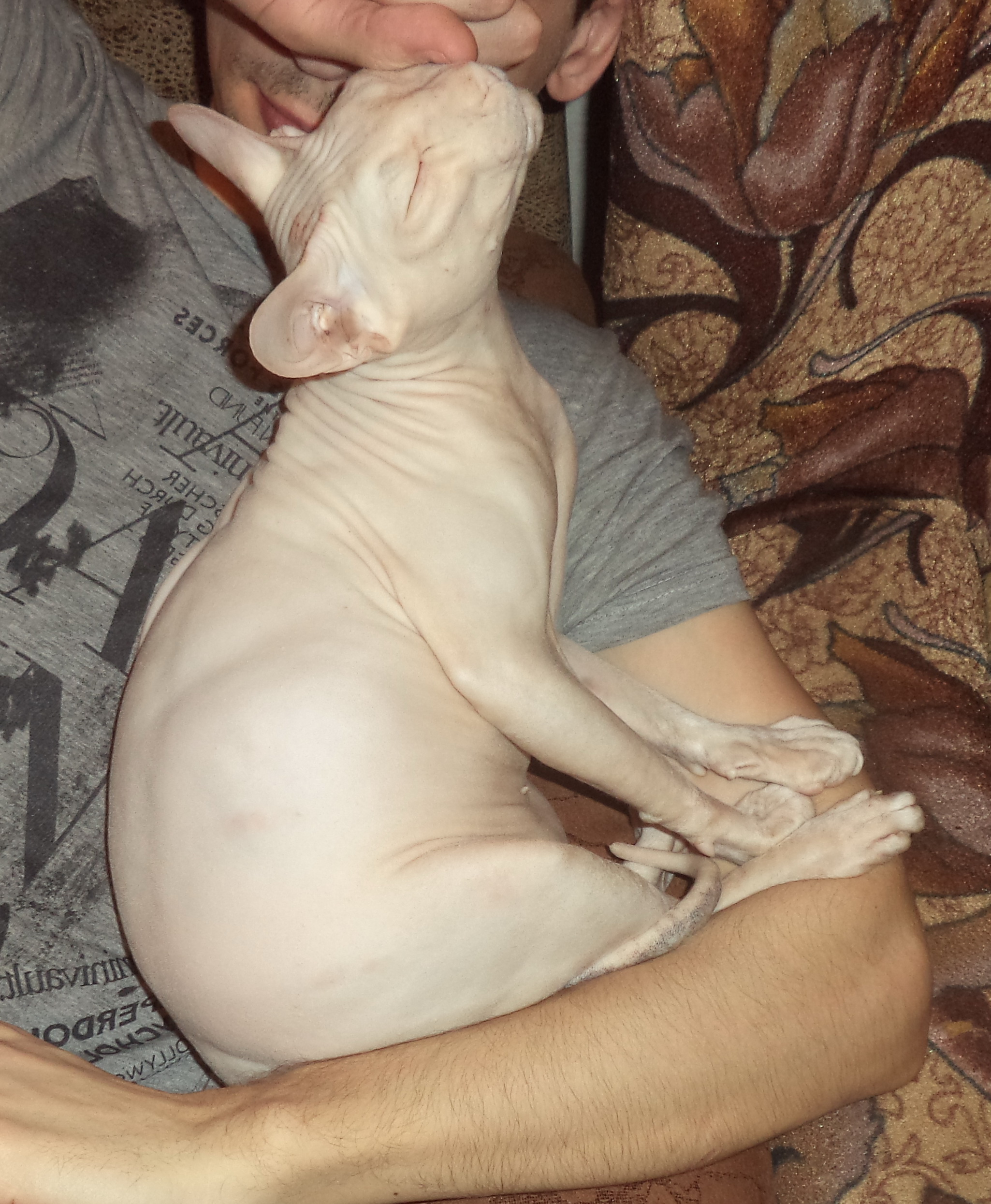 Вот так мы спим. Вот так мы спим.