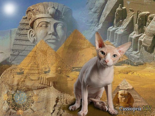 Баллада о сфинксе. Баллада о сфинксе.