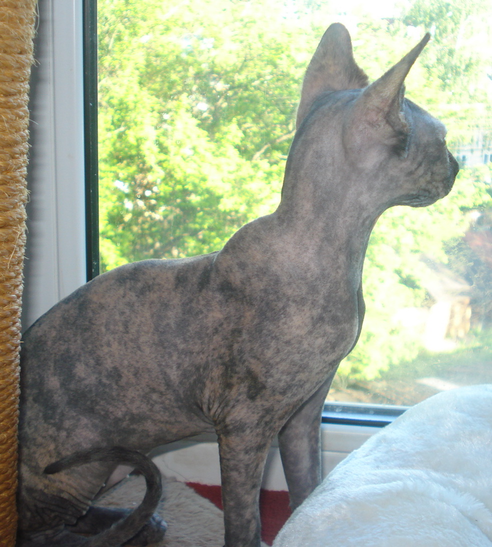 Нас лучше делают они! Нас лучше делают они!