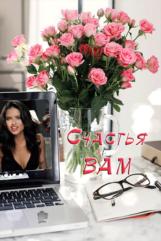 Хвала моим врагам Хвала моим врагам