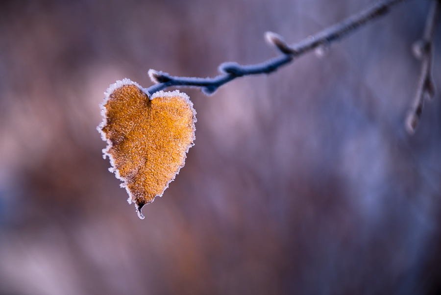 Я пишу так, как будто спасаю чью-то жизнь. Возможно, мою собственную. Я пишу так, как будто спасаю чью-то жизнь. Возможно, мою собственную.