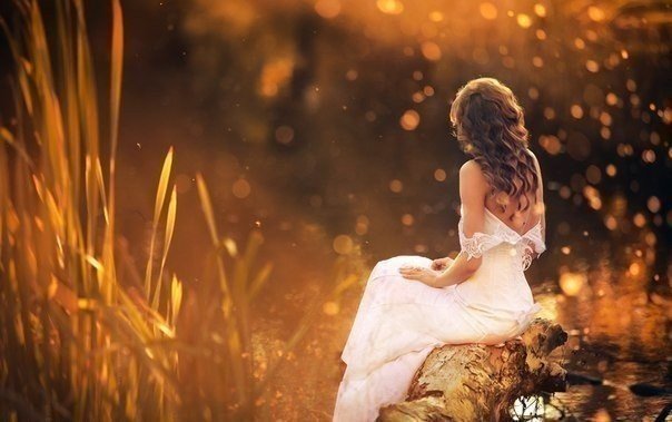 Гармония музыки и слова Гармония музыки и слова