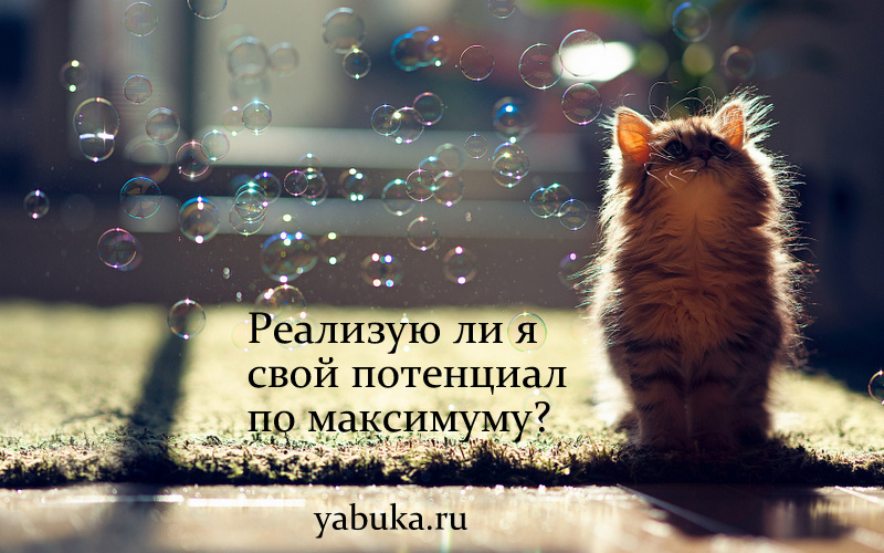 Тщетная гонка за самореализацией Тщетная гонка за самореализацией