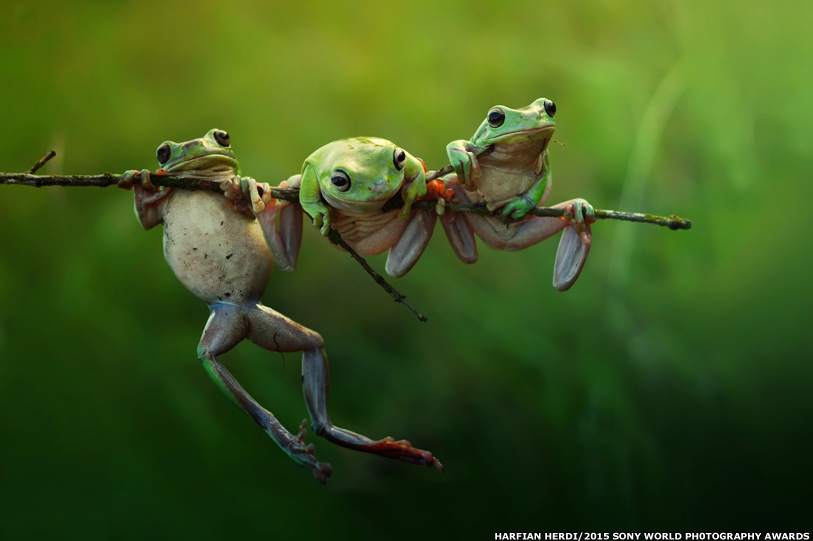 Зрители театра по имени жизнь. Зрители театра по имени жизнь.