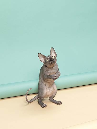 Состояние души... Состояние души...