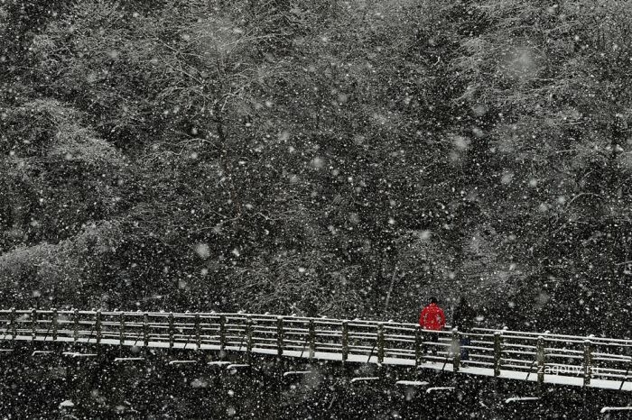 Сола Монова Сола Монова