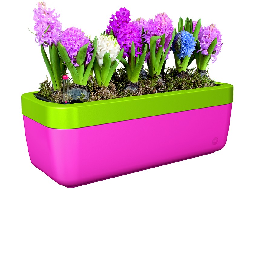 РАЗДАЧА Распродажа остатков!!! Цветочные горшки для дома, сада и балкона Еms@ - Германия!!!! С автoпoлuвом и без. Скворечники, кормушки, лейки! Яркий декор! Экспресс!!! РАЗДАЧА Распродажа остатков!!! Цветочные горшки для дома, сада и балкона Еms@ - Германия!!!! С автoпoлuвом и без. Скворечники, кормушки, лейки! Яркий декор! Экспресс!!!