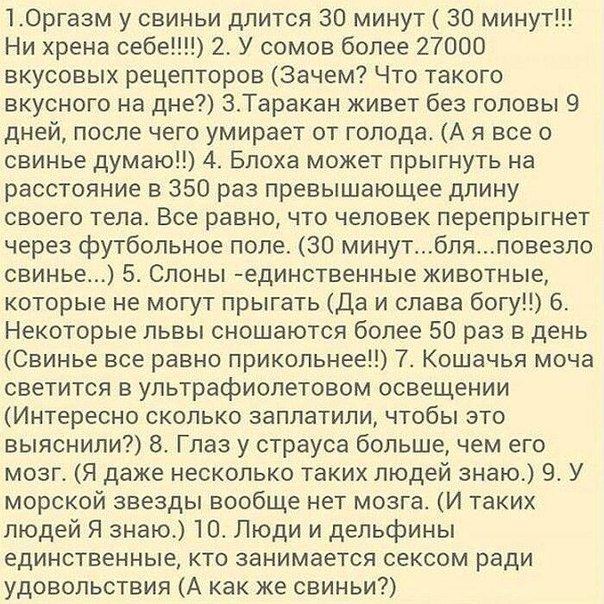 интересненько интересненько