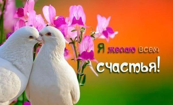 18 ПРОСТЫХ ПРИНЦИПОВ СЧАСТЬЯ 18 ПРОСТЫХ ПРИНЦИПОВ СЧАСТЬЯ