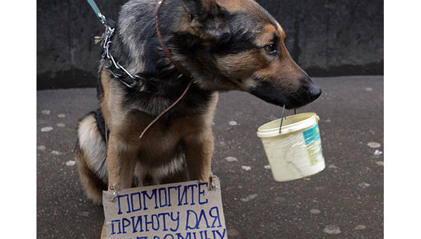 Парадоксальная любовь Парадоксальная любовь