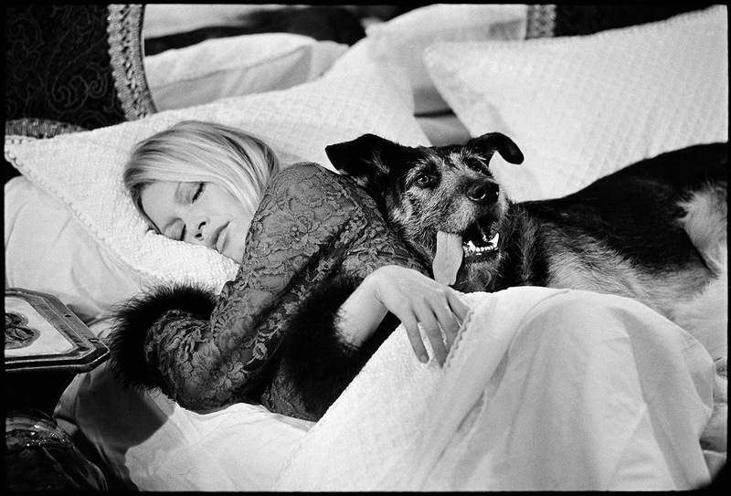 Братья наши меньшие Братья наши меньшие