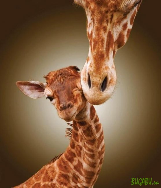 10 простых правил воспитания детей. 10 простых правил воспитания детей.