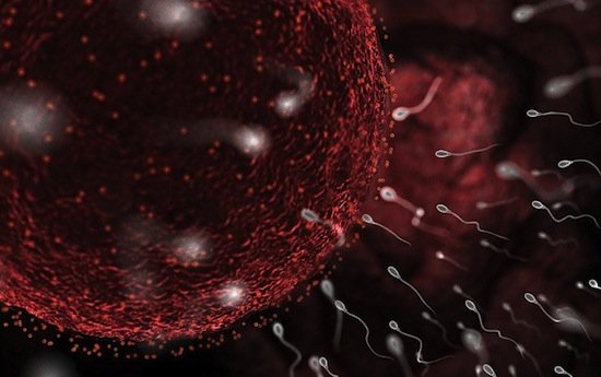 Шанс вашего рождения. Шанс вашего рождения.