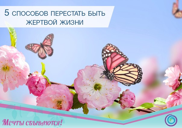 5 способов перестать быть жертвой жизни: 5 способов перестать быть жертвой жизни: