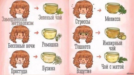 Чаи на все случаи жизни. Чаи на все случаи жизни.
