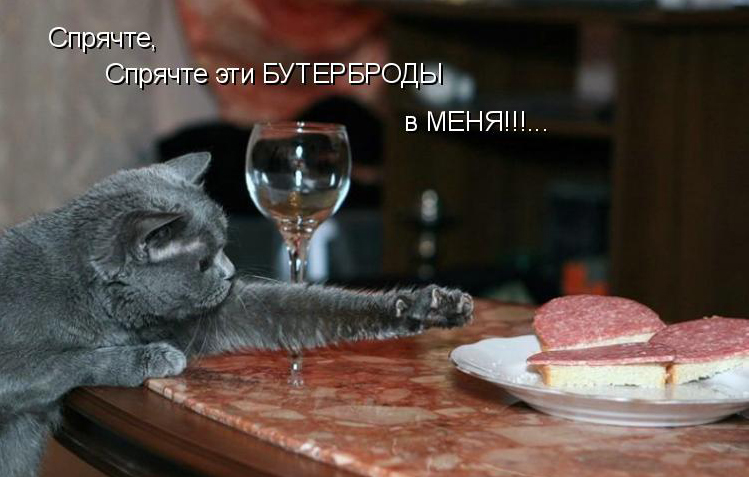 Отзывы Отзывы по конской колбаске ! Отзывы Отзывы по конской колбаске !