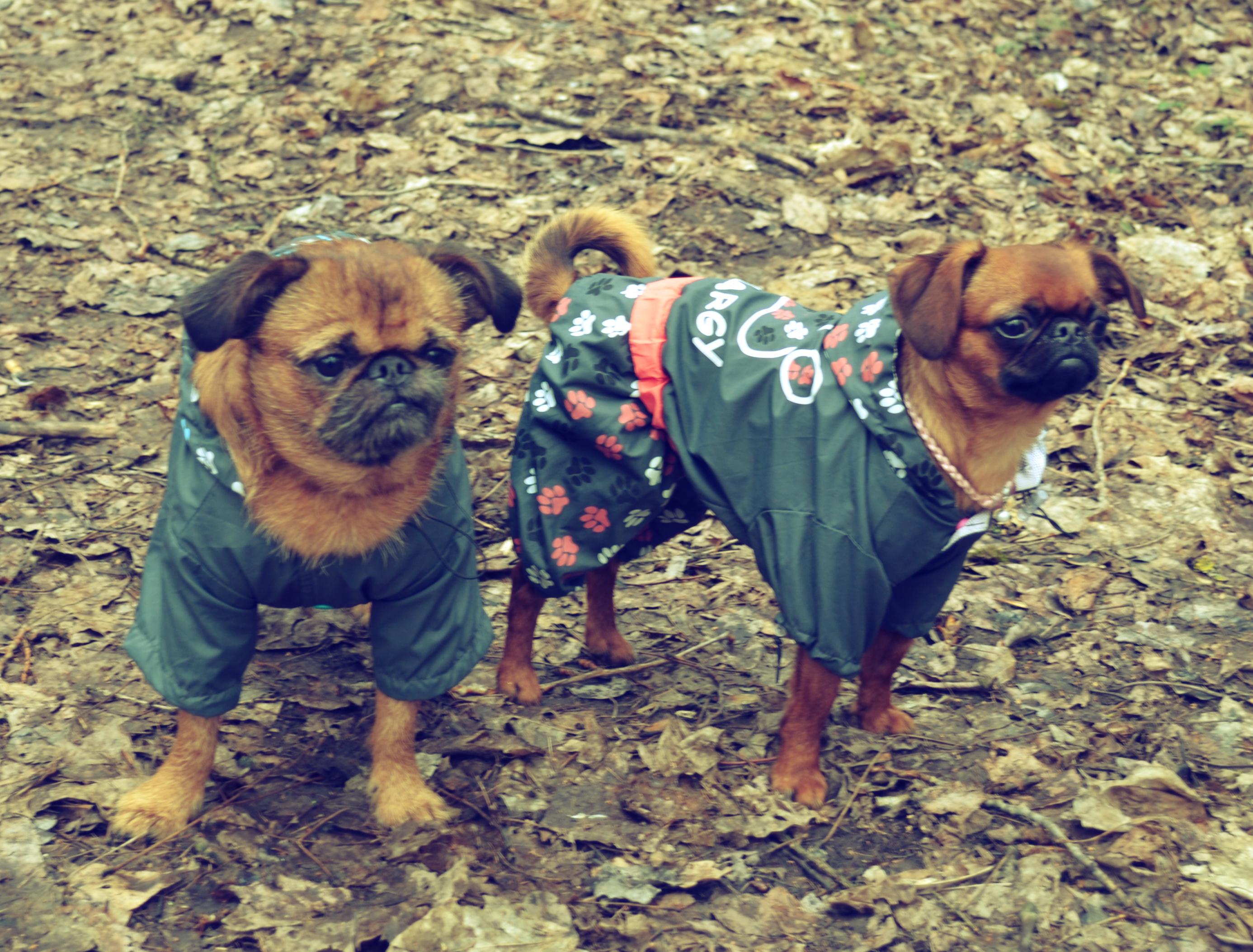 мы гуляли под дождем мы гуляли под дождем