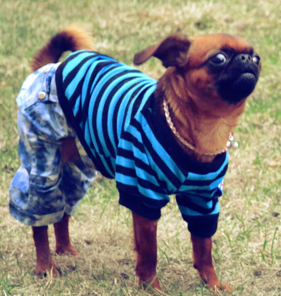 ниЧЁси ниЧЁси