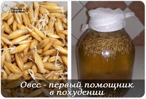 Использование овса для снижения веса Использование овса для снижения веса