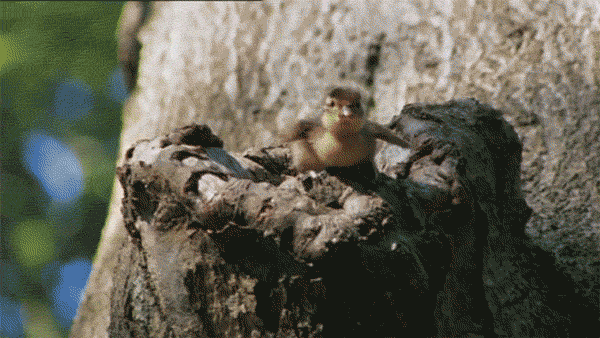 Первый полет Первый полет