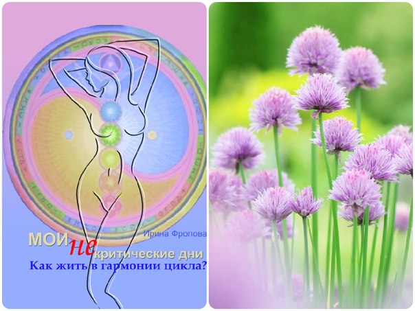 Женский природный цикл Женский природный цикл