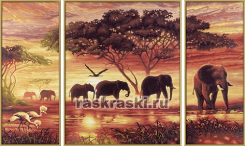 Раскраски по номерам Раскраски по номерам