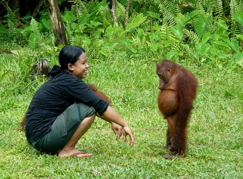 Муж психолога. Муж психолога.