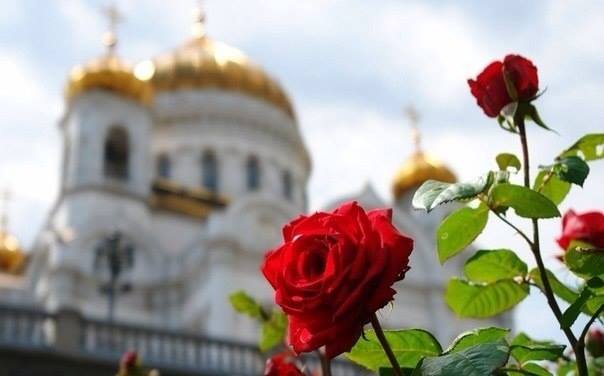 Что делать, если не остаётся сил на молитву. Что делать, если не остаётся сил на молитву.