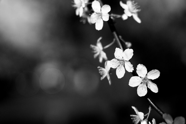 Секреты взаимоотношений с людьми Секреты взаимоотношений с людьми