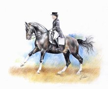 Соревнования по выездке на кубок КСК Соревнования по выездке на кубок КСК