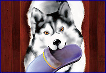 Сбор заказов. Домашняя обувь Сбор заказов. Домашняя обувь