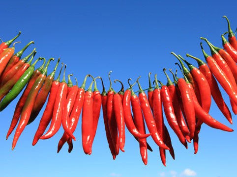 Субботняя потягуша - расслабуша в гамаке! Субботняя потягуша - расслабуша в гамаке!