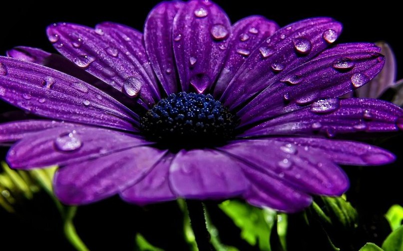 Расслабление во сне Расслабление во сне