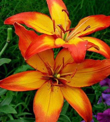 Сладко потянитесь, улыбнитесь, подумайте о том хорошем, что принесет новый день Сладко потянитесь, улыбнитесь, подумайте о том хорошем, что принесет новый день